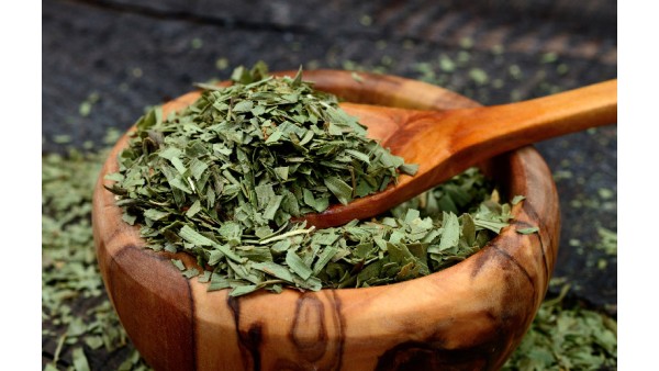 TARRAGON: A CULINARY AND BOTANICAL GEM