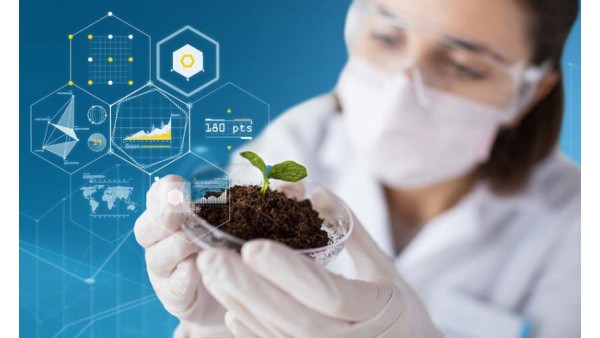 THE WHO COMMENTS ON TRADITIONAL MEDICINE AND COVID-19