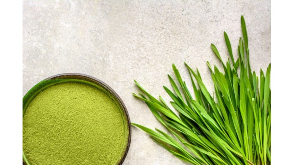 PRECIOUS BARLEY SPROUTS