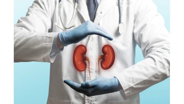 KIDNEY HERBAL CARE