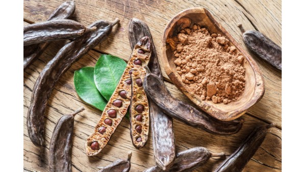 BEST THINGS CAROB TREE CAN GIVE YOU