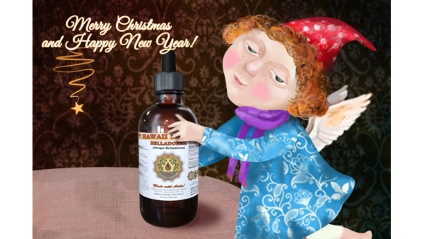 MERRY CHRISTMAS AND HAPPY NEW 2021 YEAR!