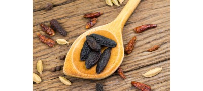 TONKA BEANS ARE NOT JUST BEANS