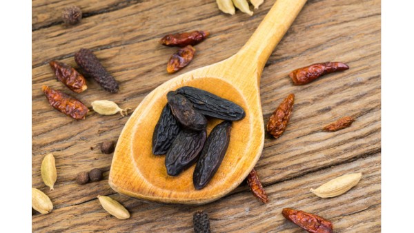 TONKA BEANS ARE NOT JUST BEANS