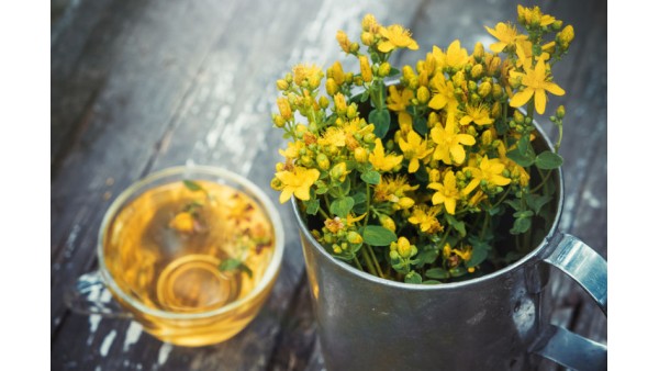 LEGENDS ABOUT ST. JOHN'S WORT
