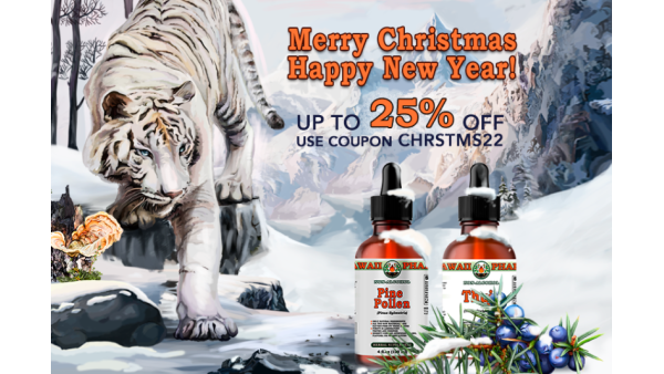 MERRY CHRISTMAS AND HAPPY NEW YEAR!