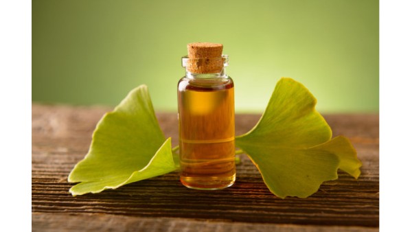 ALL YOU NEED TO KNOW ABOUT GINKGO BILOBA 