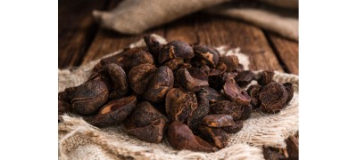 KOLA NUTS: BETTER THAN COFFEE KOLA NUTS: BETTER THAN COFFEE