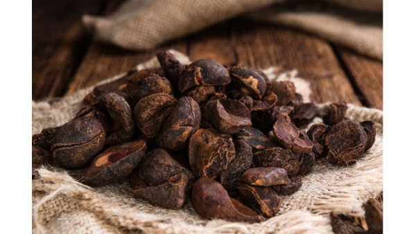 KOLA NUTS: BETTER THAN COFFEE