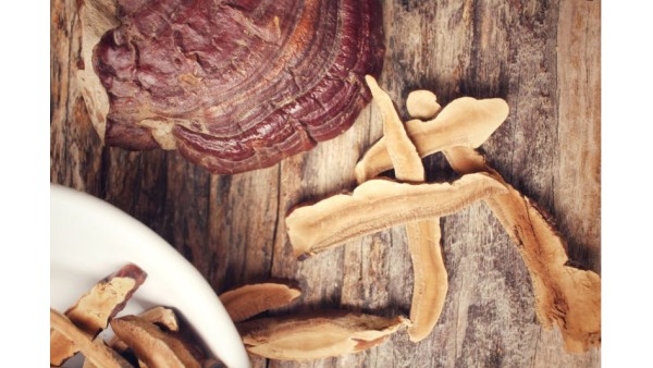 EVERYTHING YOU NEED TO KNOW ABOUT REISHI 