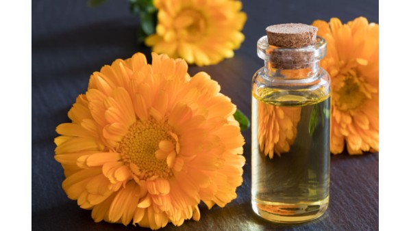 CALENDULA: QUEEN OF HERBS?