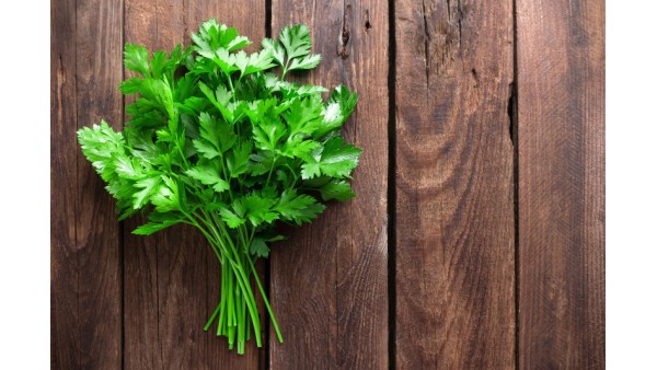 PARSLEY 