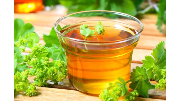 AMAZING LADY’S MANTLE