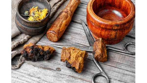 CHAGA: A GIFT FROM GOD