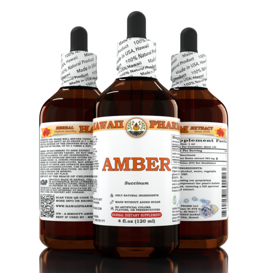 Amber (Succinum)