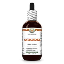 Artichoke Alcohol-FREE Liquid Extract, Organic Artichoke (Cynara scolymus) Dried Leaf Glycerite