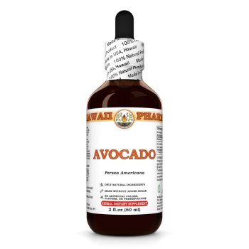Avocadoöl (Persea Americana) · Samen, alkoholische Tinktur