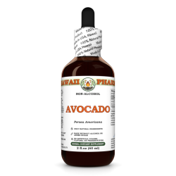 Avocado Alcohol-FREE Liquid Extract, Avocado (Persea Americana) Dried Seeds Glycerite