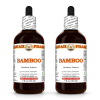 Bamboo (Bambusa Vulgaris) 2x4 Oz