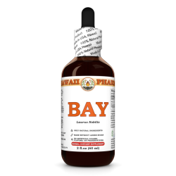 Bay Liquid Extract, Bay (Laurus Nobilis) Dried Leaf Tincture