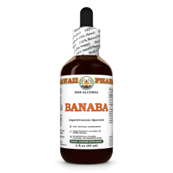 Banaba, Giant Crepe-Myrtle (Lagerstroemia Speciosa) Tincture, Dried Leaf ALCOHOL-FREE Liquid Extract, Banaba, Glycerite Herbal Supplement