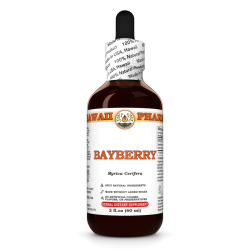 Bayberry Liquid Extract, Bayberry (Myrica Cerifera) Dried Root Bark Tincture