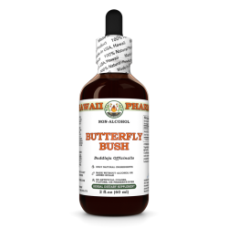 Butterfly Bush Liquid Extract, Dried flower (Buddleja Officinalis) Alcohol-Free Glycerite