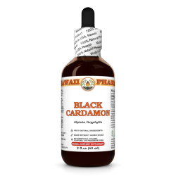 Black Cardamon Liquid Extract, Black Cardamon (Alpinia Oxyphylla) Fruit Tincture