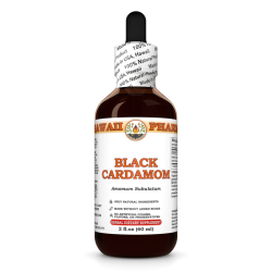 Black Cardamon Liquid Extract, Black Cardamon (Amomum Subulatum) Fruit Tincture