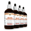 Black Cardamon (Amomum Subulatum) 4x4 Oz