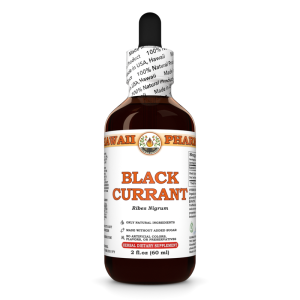 Black Currant (Ribes Nigrum) Tincture, Dried Leaf Liquid Extract