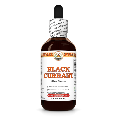Black Currant (Ribes Nigrum) Tincture, Certified Organic Dried Leaf Liquid Extract
