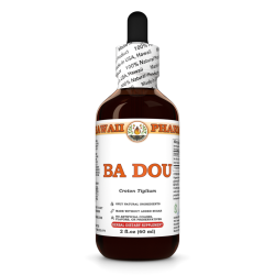 Ba Dou (Croton Tiglium) Tincture, Dried Seed Liquid Extract