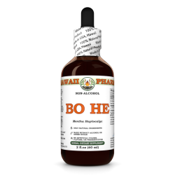 Bo He (Mentha Haplocalyx) Tincture, Wildcrafted Dried Herb ALCOHOL-FREE Liquid Extract