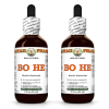 Bo He (Mentha Haplocalyx) 2x2 Oz