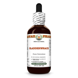 Bladderwrack Alcohol-FREE Liquid Extract, Bladderwrack (Fucus Vesiculosus) Entire Plant Glycerite