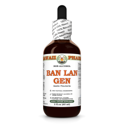 Ban Lan Gen Alcohol-FREE Liquid Extract, Ban Lan Gen, Isatis (Isatis Tinctoria) Root Glycerite