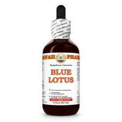 Blue Lotus Liquid Extract, Blue Lotus (Nymphaea Caerulea) Flower Tincture