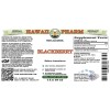 Blackberry Alcohol-FREE Liquid Extract, Blackberry (Rubus Armeniacus) Root Glycerite