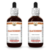 Blackberry (Rubus Fruticosus) 2x2 Oz