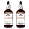 Blackberry (Rubus Fruticosus) 2x2 Oz