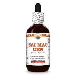 Bai Mao Gen (Imperata Cylindrica) Tincture, Dried Root Liquid Extract