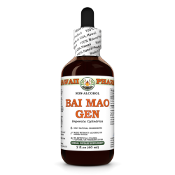 Bai Mao Gen (Imperata Cylindrica) Tincture, Dried Root ALCOHOL-FREE Liquid Extract