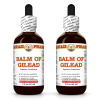Balm Of Gilead (Populus Candicans) 2x2 Oz