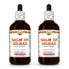 Balm Of Gilead (Populus Candicans) 2x4 Oz