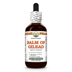Balm Of Gilead (Populus Candicans) Tincture, Dried Bud ALCOHOL-FREE Liquid Extract
