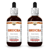 Brucea (Brucea Javanica) 2x2 Oz
