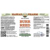 Burr Reed Liquid Extract, Dried rhizome (Sparganium Emersum) Alcohol-Free Glycerite