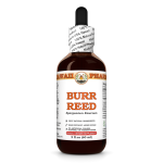Burr Reed Liquid Extract, Dried rhizome (Sparganium Emersum) Tincture