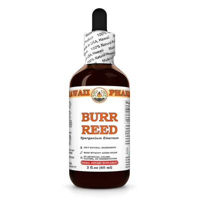 Burr Reed Liquid Extract, Dried rhizome (Sparganium Emersum) Tincture